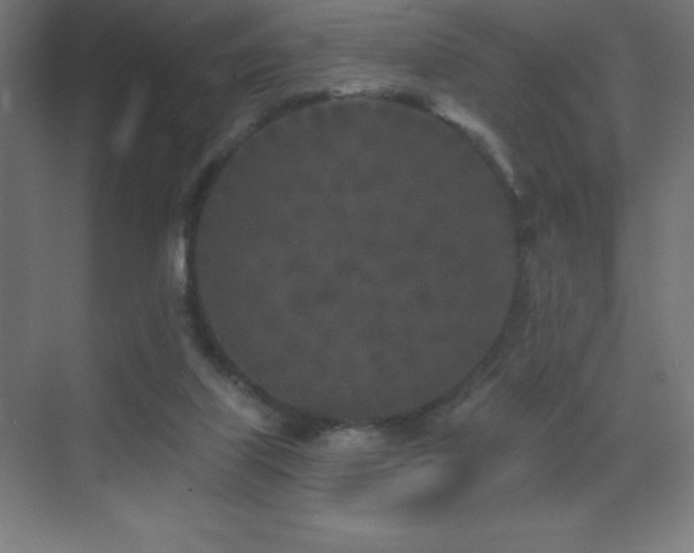 X0000070240067200606021141