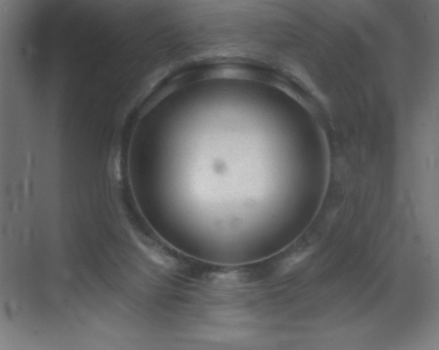 X0000070240068200606021141