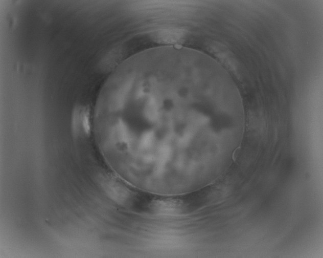 X0000070240069200606021141