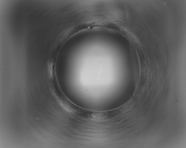 X0000070240070200606021141