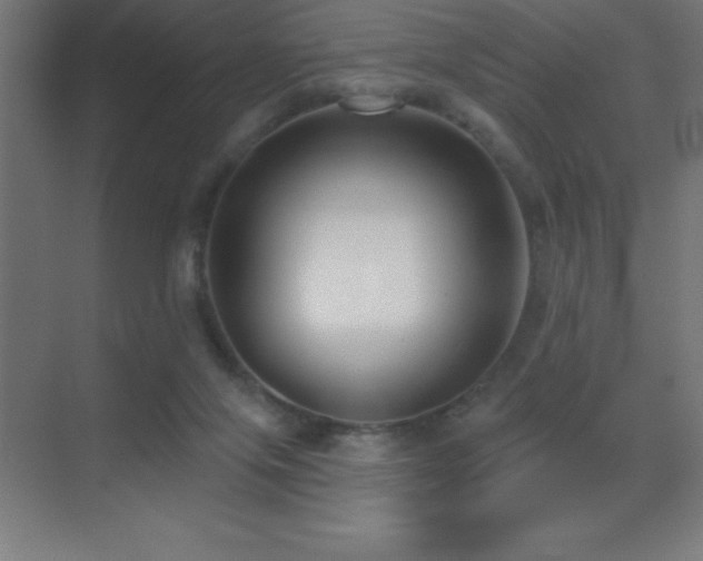 X0000070240071200606021141