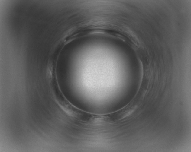 X0000070240072200606021141