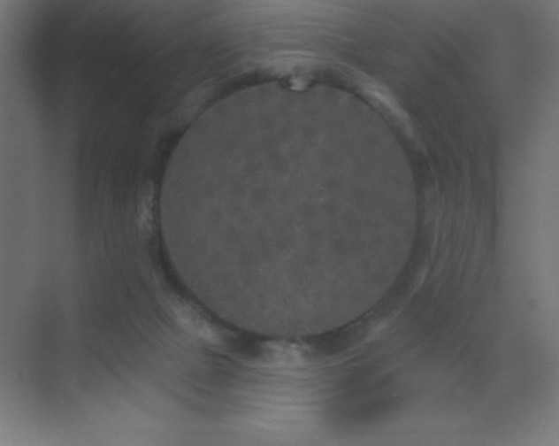 X0000070240073200606021141