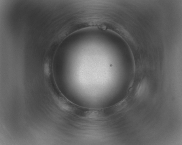 X0000070240074200606021141