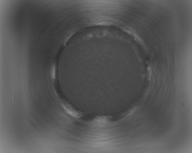 X0000070240076200606021141