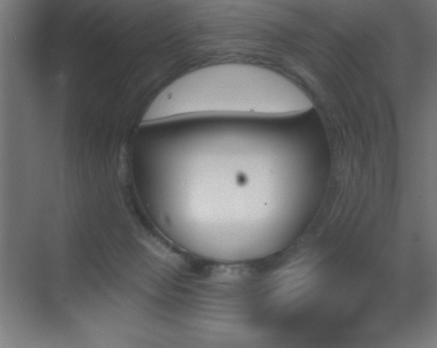 X0000070240077200606021141