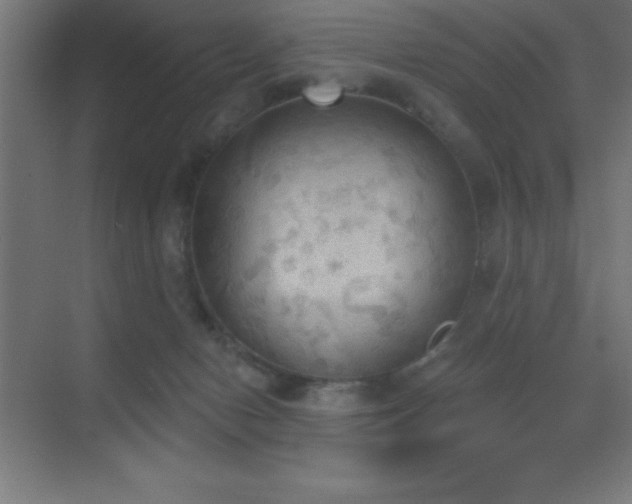 X0000070240078200606021141