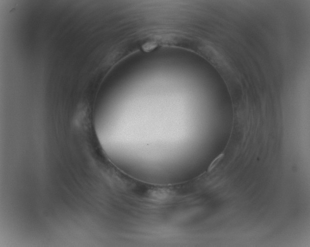 X0000070240079200606021141