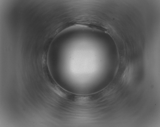 X0000070240081200606021141