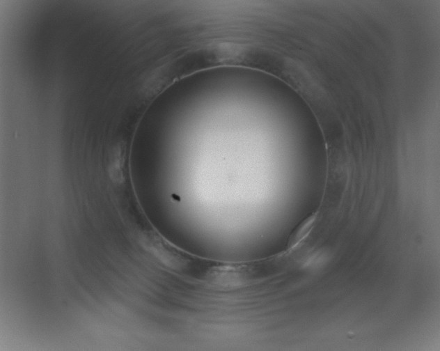 X0000070240082200606021141