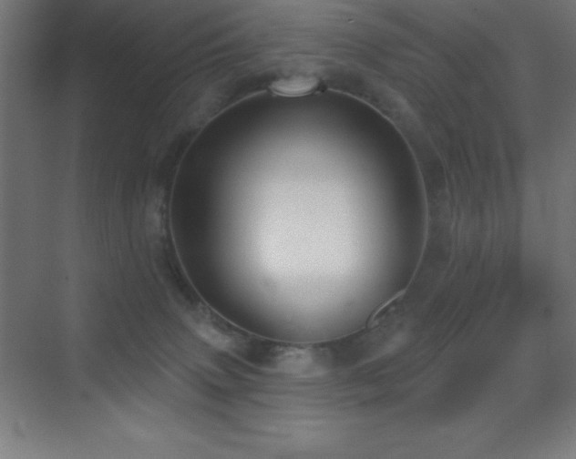 X0000070240083200606021141