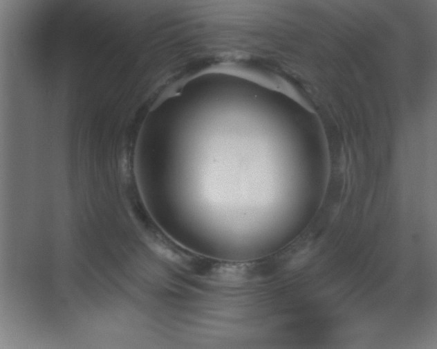 X0000070240084200606021141