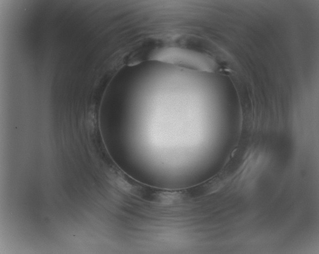 X0000070240085200606021141