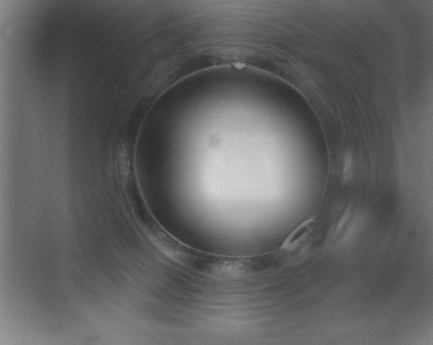 X0000070240086200606021141