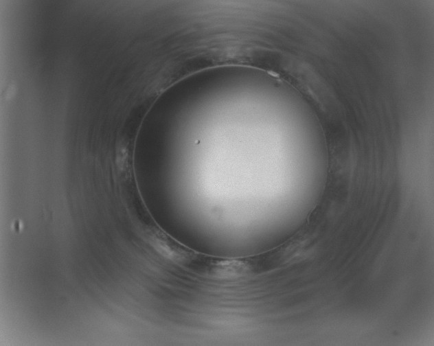 X0000070240087200606021141