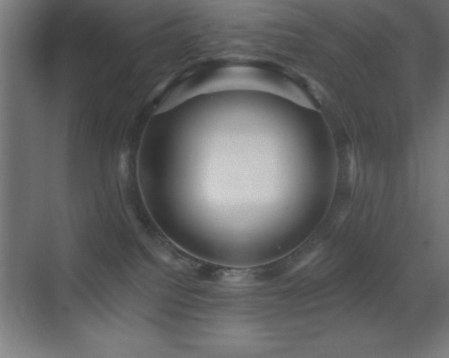 X0000070240088200606021141