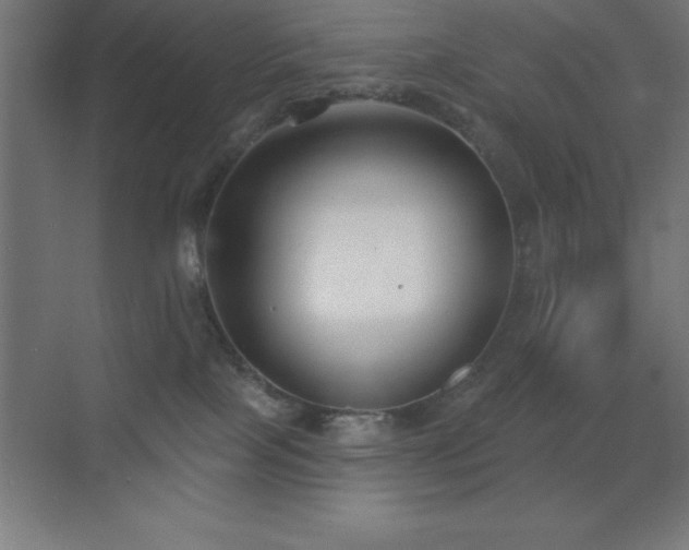 X0000070240089200606021141