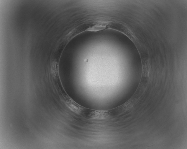 X0000070240093200606021141