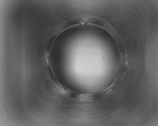 X0000070240094200606021141