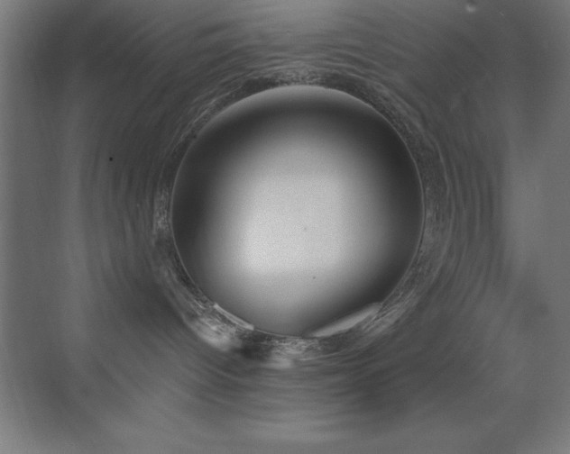 X0000070240096200606021141