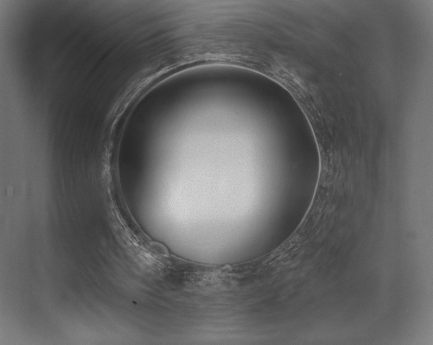 X0000070240098200606021140