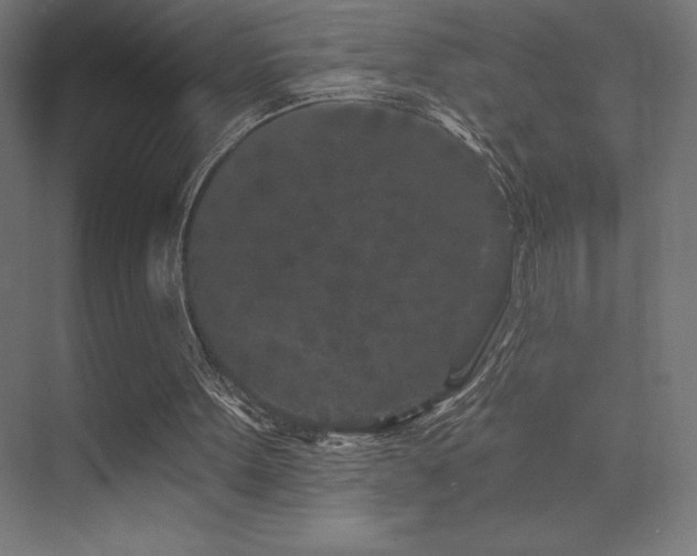 X0000070240099200606021140