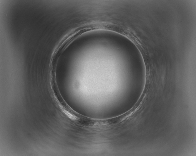 X0000070240101200606021140