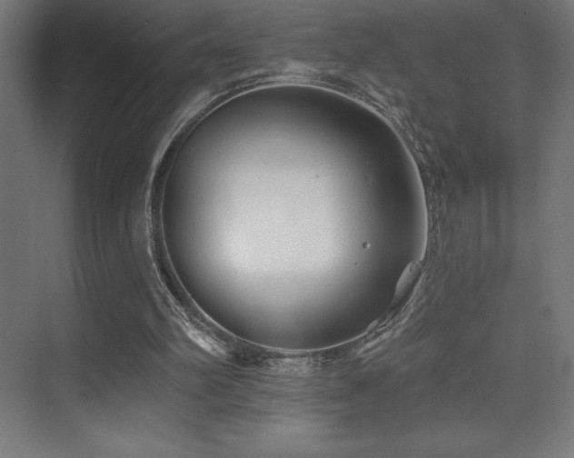 X0000070240102200606021140