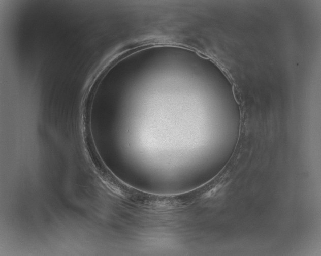 X0000070240103200606021140