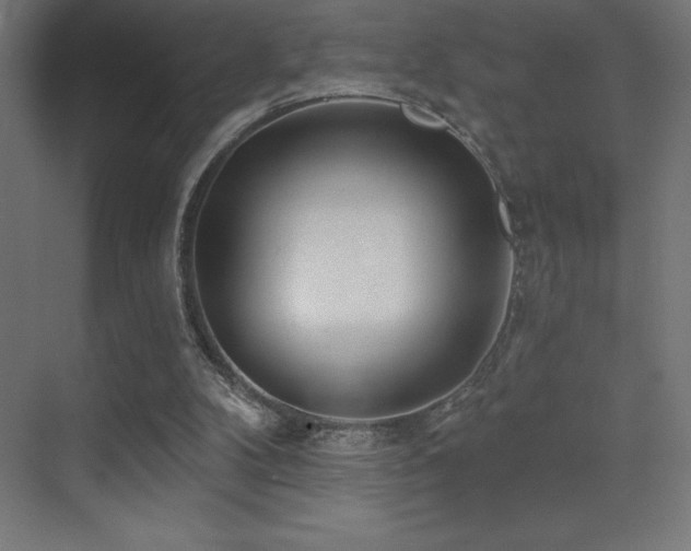 X0000070240104200606021140