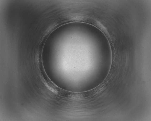 X0000070240106200606021140