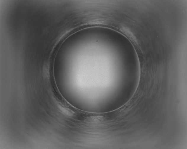 X0000070240108200606021140