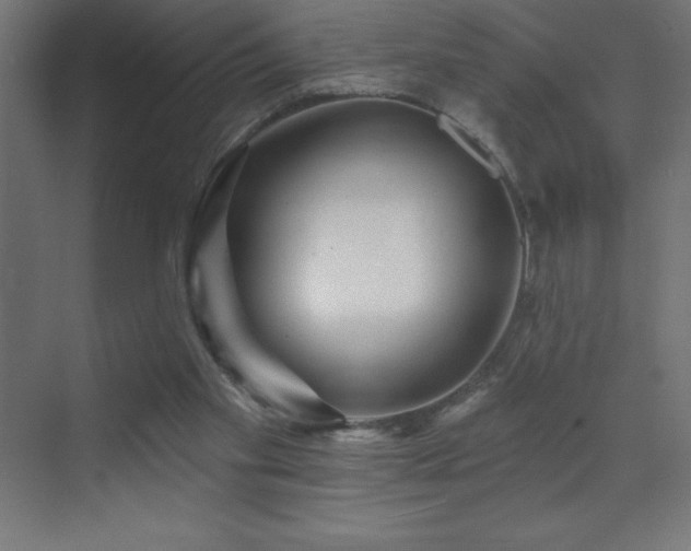 X0000070240109200606021140