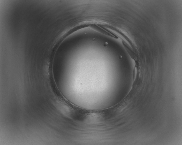 X0000070240111200606021140