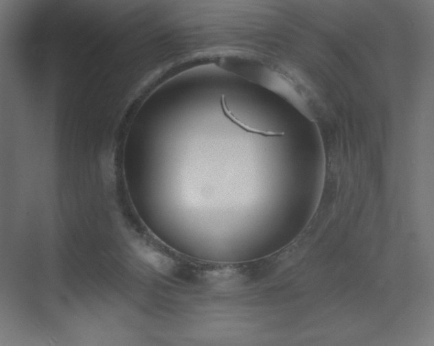 X0000070240112200606021140