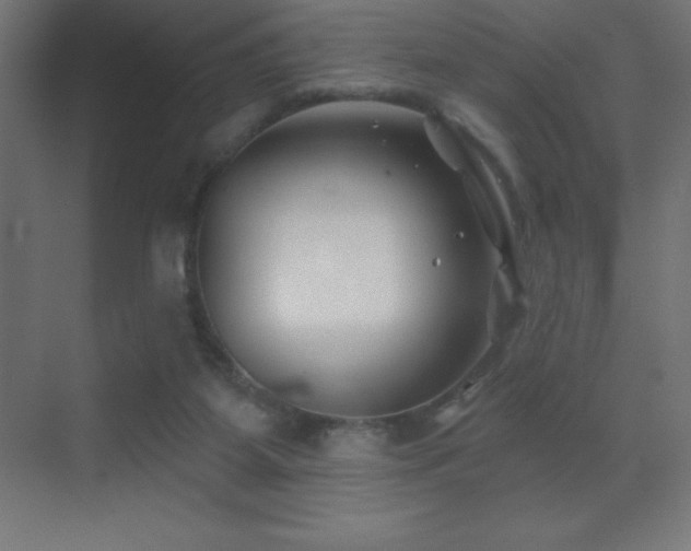 X0000070240115200606021140