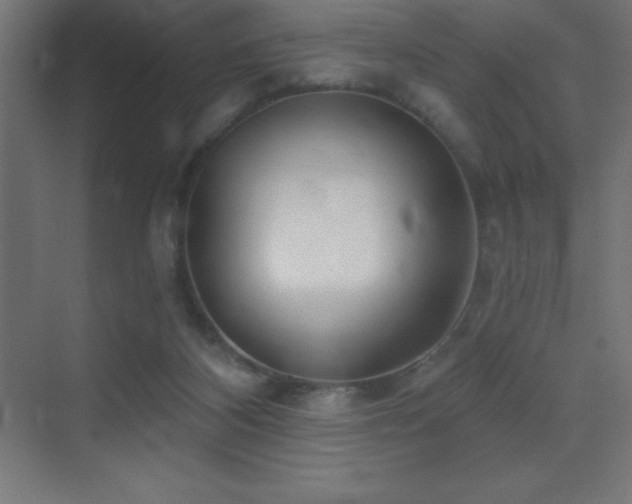 X0000070240116200606021140