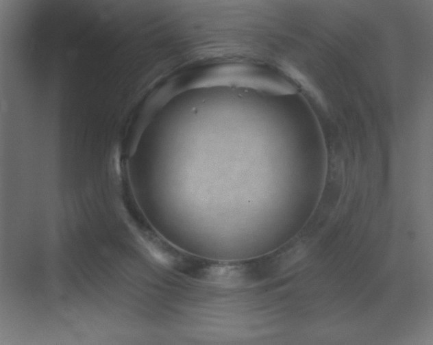 X0000070240117200606021140