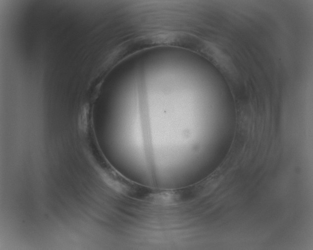 X0000070240118200606021140