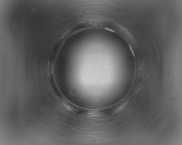 X0000070240121200606021140