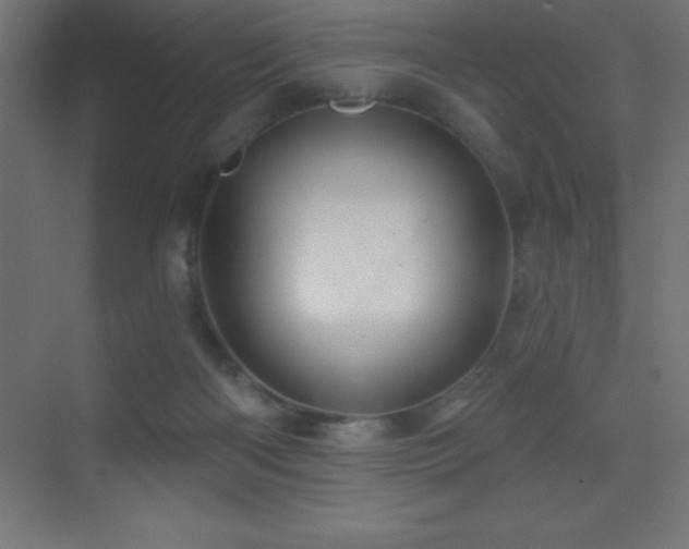 X0000070240122200606021140