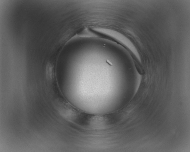 X0000070240123200606021140