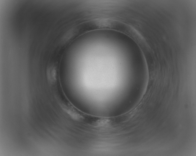 X0000070240124200606021140