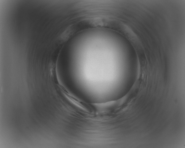 X0000070240125200606021140