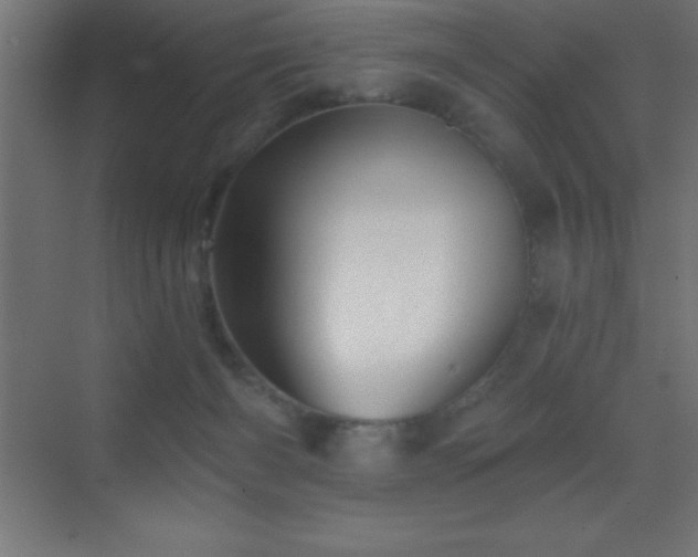 X0000070240126200606021140