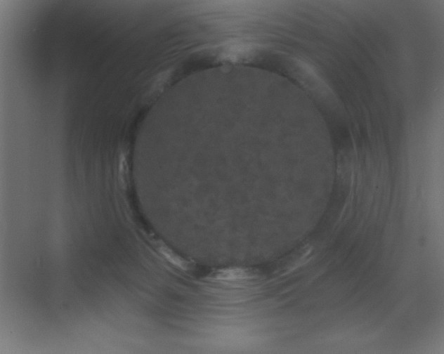 X0000070240127200606021140