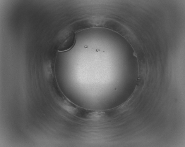 X0000070240128200606021140