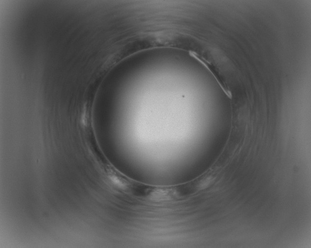 X0000070240129200606021140