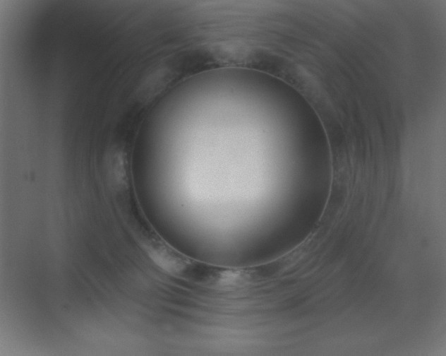 X0000070240130200606021140