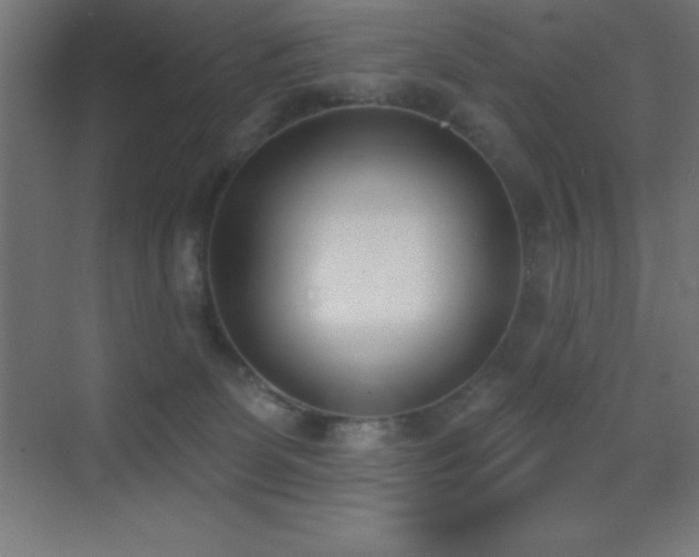 X0000070240131200606021140